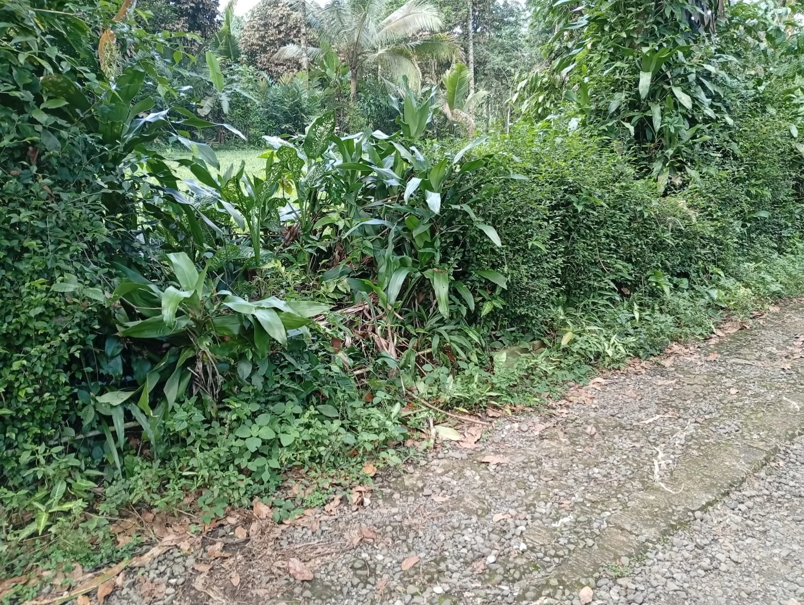 Panduan jual beli tanah murah untuk investasi maupun hunian, mencakup tips memilih lokasi strategis, cara aman menghindari penipuan, hingga strategi meningkatkan nilai properti di masa depan.